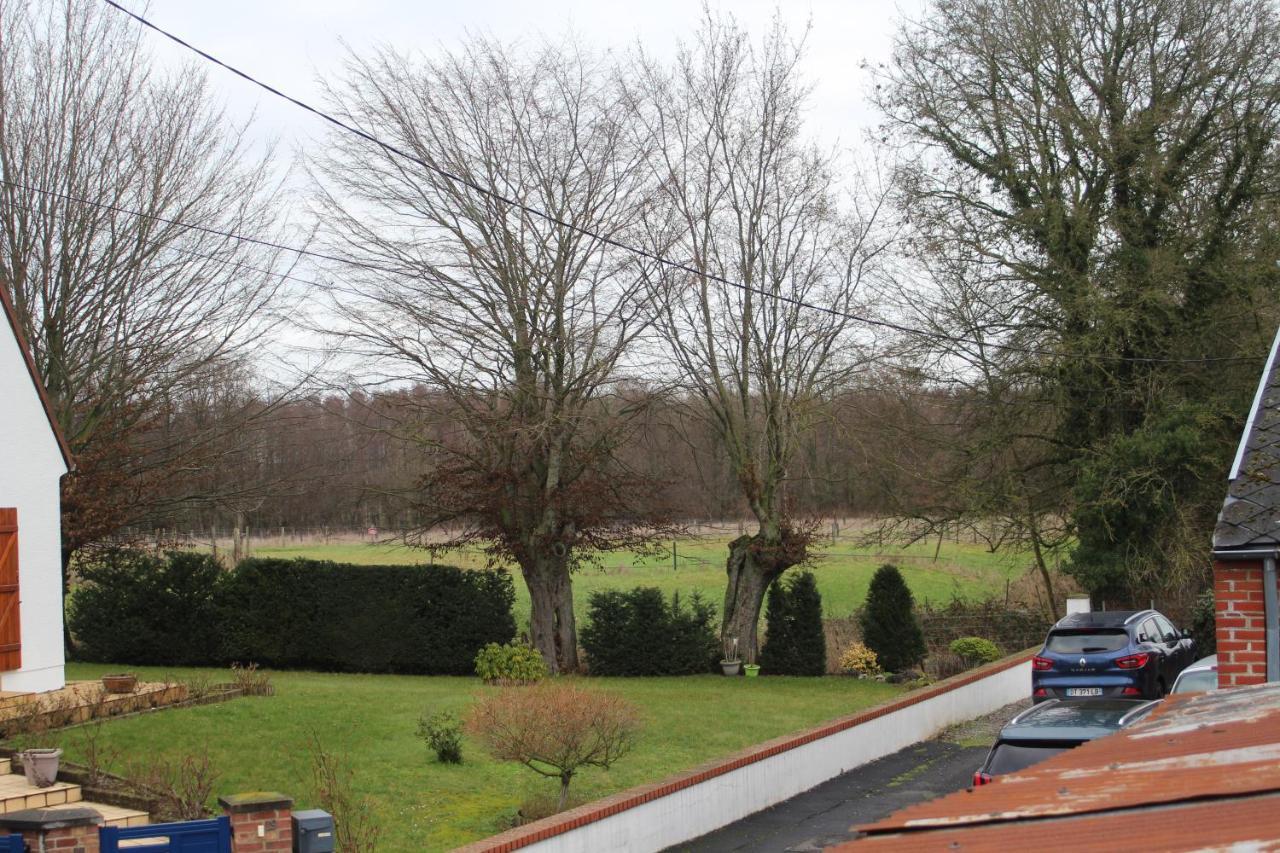 Maison D'Artiste Acces Jardin Maubeuge Exteriér fotografie