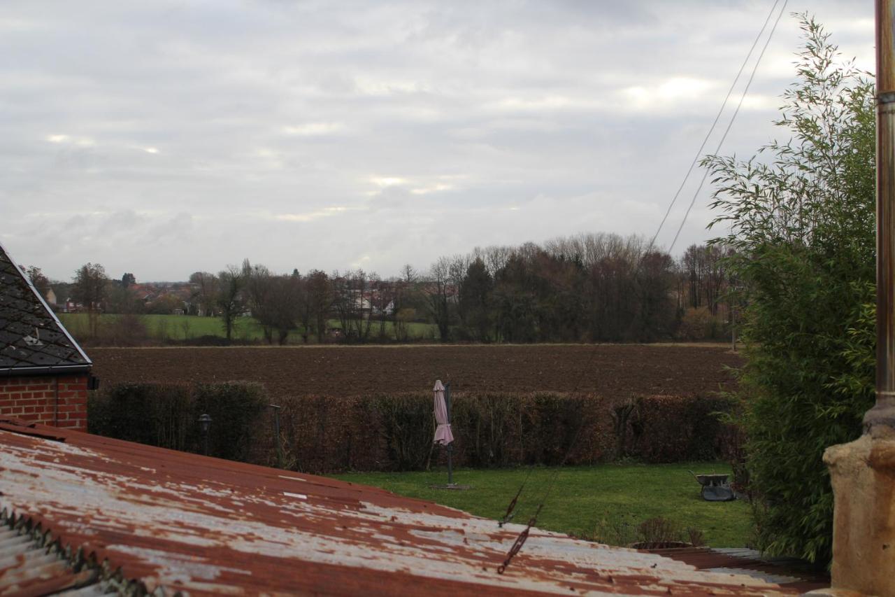 Maison D'Artiste Acces Jardin Maubeuge Exteriér fotografie